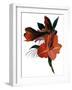 An imaginary flower based on an amaryllis-Hiroyuki Izutsu-Framed Giclee Print