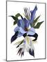 An imaginary flower based on the tulip motif-Hiroyuki Izutsu-Mounted Giclee Print