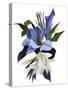 An imaginary flower based on the tulip motif-Hiroyuki Izutsu-Stretched Canvas