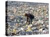 An Impoverished Mongolian Man Sorts Through Garbage at an Ulan Bator Dump-null-Stretched Canvas