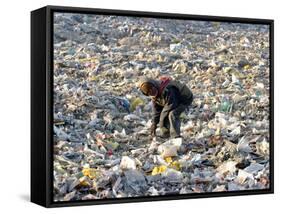 An Impoverished Mongolian Man Sorts Through Garbage at an Ulan Bator Dump-null-Framed Stretched Canvas