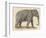 An Indian Elephant-null-Framed Photographic Print