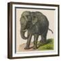 An Indian Elephant-null-Framed Art Print