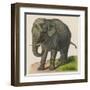 An Indian Elephant-null-Framed Art Print