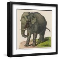 An Indian Elephant-null-Framed Art Print