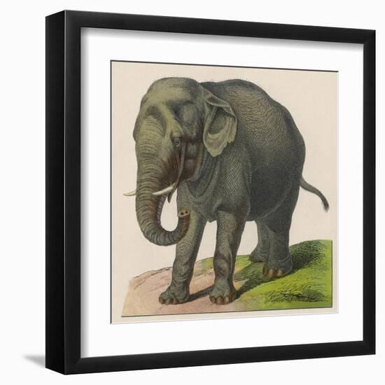 An Indian Elephant-null-Framed Art Print