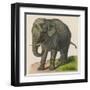 An Indian Elephant-null-Framed Art Print