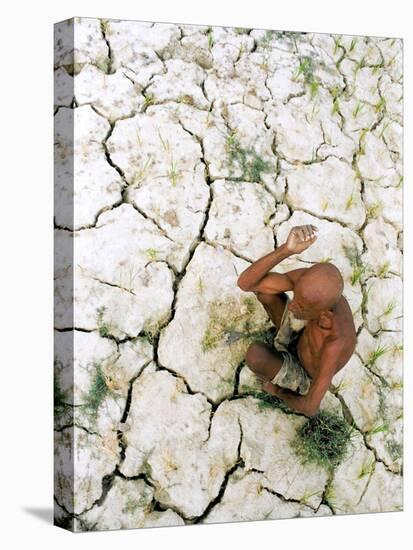 An Indian Farmer Sits in His Dried up Field in Hanumanganj, India-null-Stretched Canvas