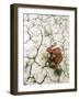 An Indian Farmer Sits in His Dried up Field in Hanumanganj, India-null-Framed Photographic Print