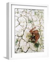 An Indian Farmer Sits in His Dried up Field in Hanumanganj, India-null-Framed Photographic Print