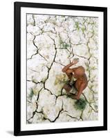 An Indian Farmer Sits in His Dried up Field in Hanumanganj, India-null-Framed Photographic Print