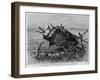 An Indian Grave on the Yellowstone River.-null-Framed Giclee Print