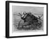 An Indian Grave on the Yellowstone River.-null-Framed Giclee Print