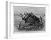 An Indian Grave on the Yellowstone River.-null-Framed Giclee Print