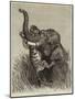 An Indian Hunting Trophy-null-Mounted Giclee Print