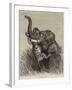 An Indian Hunting Trophy-null-Framed Giclee Print