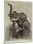 An Indian Hunting Trophy-null-Mounted Giclee Print