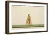 An Indian Macaroni Lady, 1800-10-Ramdass-Framed Giclee Print