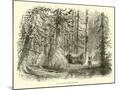 Wood Mount