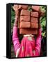 An Indian Woman Construction Worker Stacks Bricks on Her Head-null-Framed Stretched Canvas