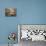 An Indonesian Boy Wearing a Spiderman Mask Sleeps on a Piece of Cardboard-Ed Wray-Photographic Print displayed on a wall