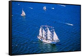 An Indonesian ship in the Liberty 100 celebration in New York City's Hudson River-null-Framed Stretched Canvas