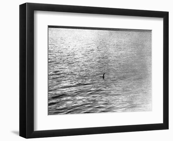 An Infamous Image of the Loch Ness Monster-null-Framed Photographic Print