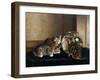 An Intense Study-Horatio Henry Couldery-Framed Giclee Print