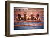 An Intercollegiate Team Locks Arms after Winning Medley Relay, 1964 Summer Olympics, Tokyo, Japa-Art Rickerby-Framed Photographic Print