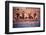 An Intercollegiate Team Locks Arms after Winning Medley Relay, 1964 Summer Olympics, Tokyo, Japa-Art Rickerby-Framed Photographic Print