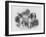 An Interesting Old Engraving of a Long-Coated Poodle-null-Framed Art Print