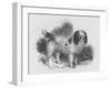 An Interesting Old Engraving of a Long-Coated Poodle-null-Framed Art Print