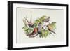 An Intruder, Illustration from 'In Fairyland: A Series of Pictures from the Elf-World' by William A-Richard Doyle-Framed Giclee Print