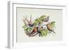 An Intruder, Illustration from 'In Fairyland: A Series of Pictures from the Elf-World' by William A-Richard Doyle-Framed Giclee Print