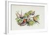 An Intruder, Illustration from 'In Fairyland: A Series of Pictures from the Elf-World' by William A-Richard Doyle-Framed Giclee Print