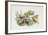 An Intruder, Illustration from 'In Fairyland: A Series of Pictures from the Elf-World' by William A-Richard Doyle-Framed Giclee Print