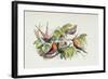 An Intruder, Illustration from 'In Fairyland: A Series of Pictures from the Elf-World' by William A-Richard Doyle-Framed Giclee Print