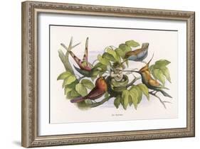 An Intruding Elf Makes Himself at Home in a Birds Nest-Richard Doyle-Framed Art Print