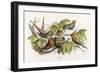 An Intruding Elf Makes Himself at Home in a Birds Nest-Richard Doyle-Framed Art Print