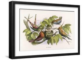 An Intruding Elf Makes Himself at Home in a Birds Nest-Richard Doyle-Framed Art Print