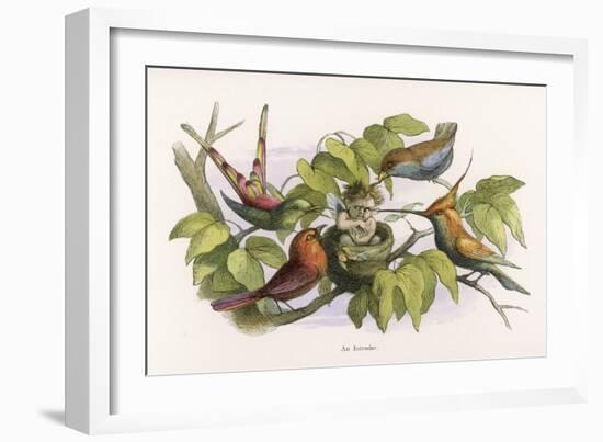 An Intruding Elf Makes Himself at Home in a Birds Nest-Richard Doyle-Framed Art Print