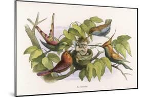 An Intruding Elf Makes Himself at Home in a Birds Nest-Richard Doyle-Mounted Art Print