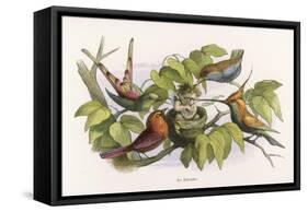 An Intruding Elf Makes Himself at Home in a Birds Nest-Richard Doyle-Framed Stretched Canvas