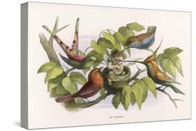 An Intruding Elf Makes Himself at Home in a Birds Nest-Richard Doyle-Stretched Canvas