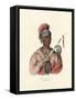 An Ioway Chief-McKenney & Hall-Framed Stretched Canvas