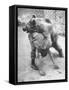 An Iranian Performace of a Man Wrestling a Bear in Public-Dmitri Kessel-Framed Stretched Canvas
