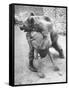 An Iranian Performace of a Man Wrestling a Bear in Public-Dmitri Kessel-Framed Stretched Canvas