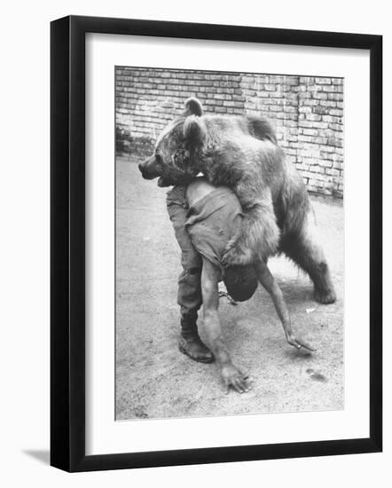 An Iranian Performace of a Man Wrestling a Bear in Public-Dmitri Kessel-Framed Photographic Print