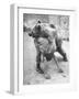 An Iranian Performace of a Man Wrestling a Bear in Public-Dmitri Kessel-Framed Photographic Print