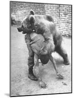 An Iranian Performace of a Man Wrestling a Bear in Public-Dmitri Kessel-Mounted Photographic Print